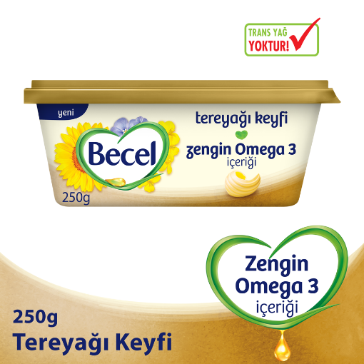 BECEL KASE TEREYAĞ KEYFİ 250 GR 32'Lİ resmi